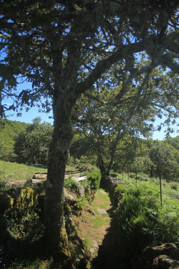 O Xardin Da Fraga Villa San Salvador Eksteriør bilde
