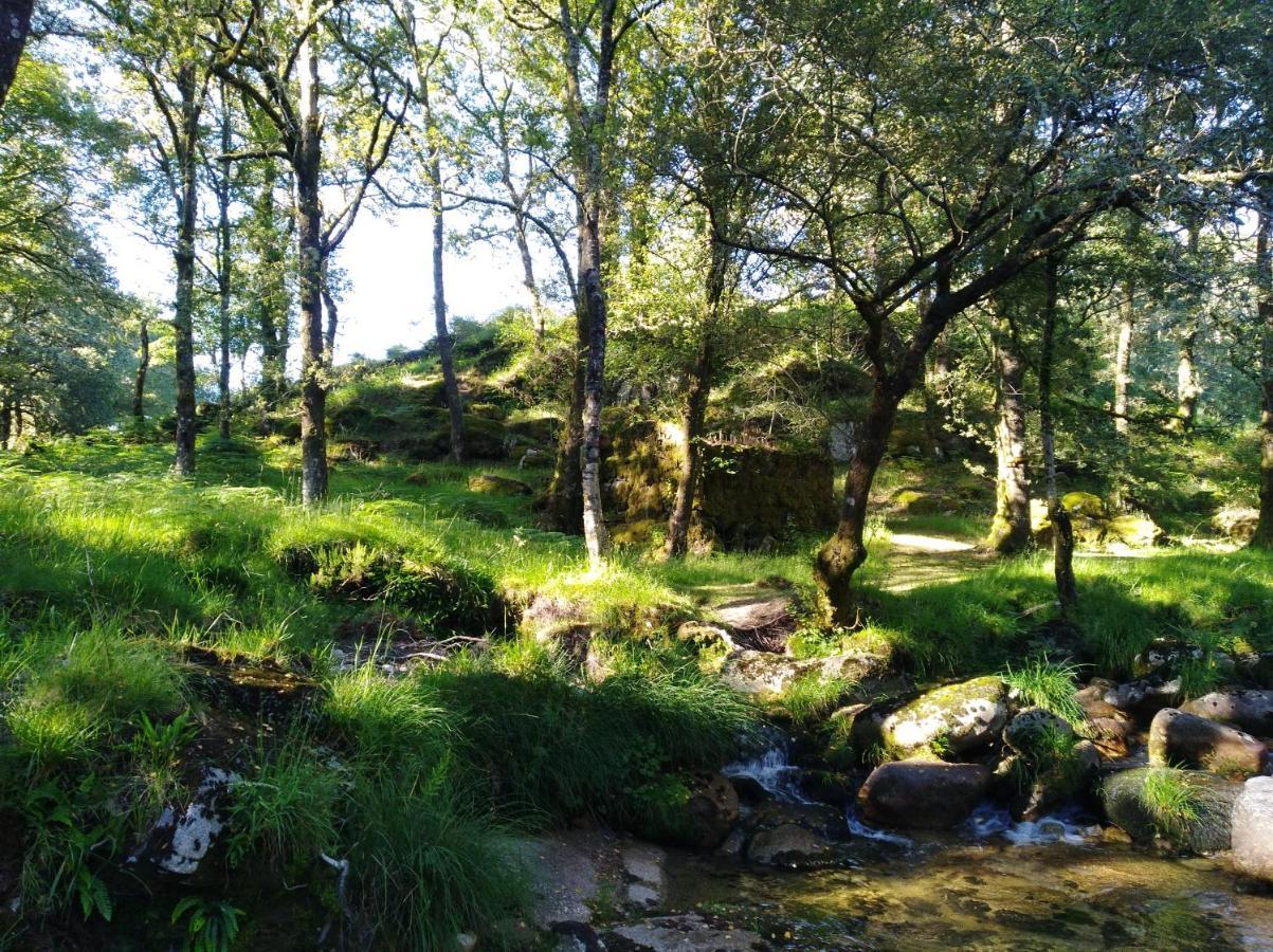 O Xardin Da Fraga Villa San Salvador Eksteriør bilde